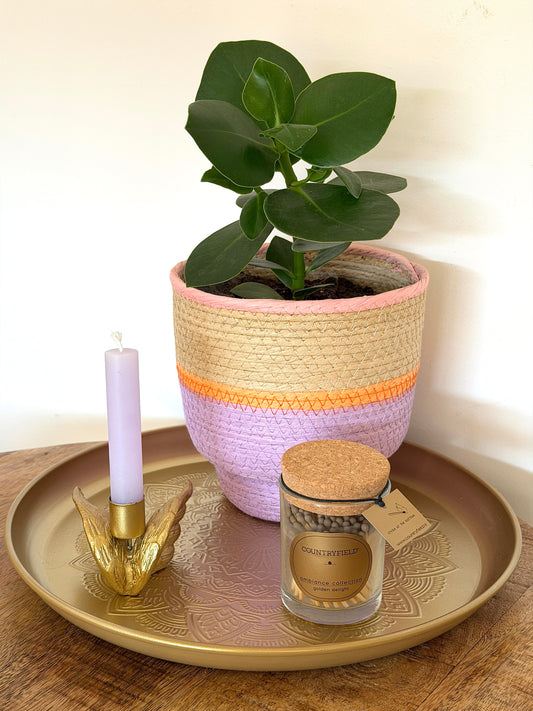 Dinerkaars - 12 cm | Lila