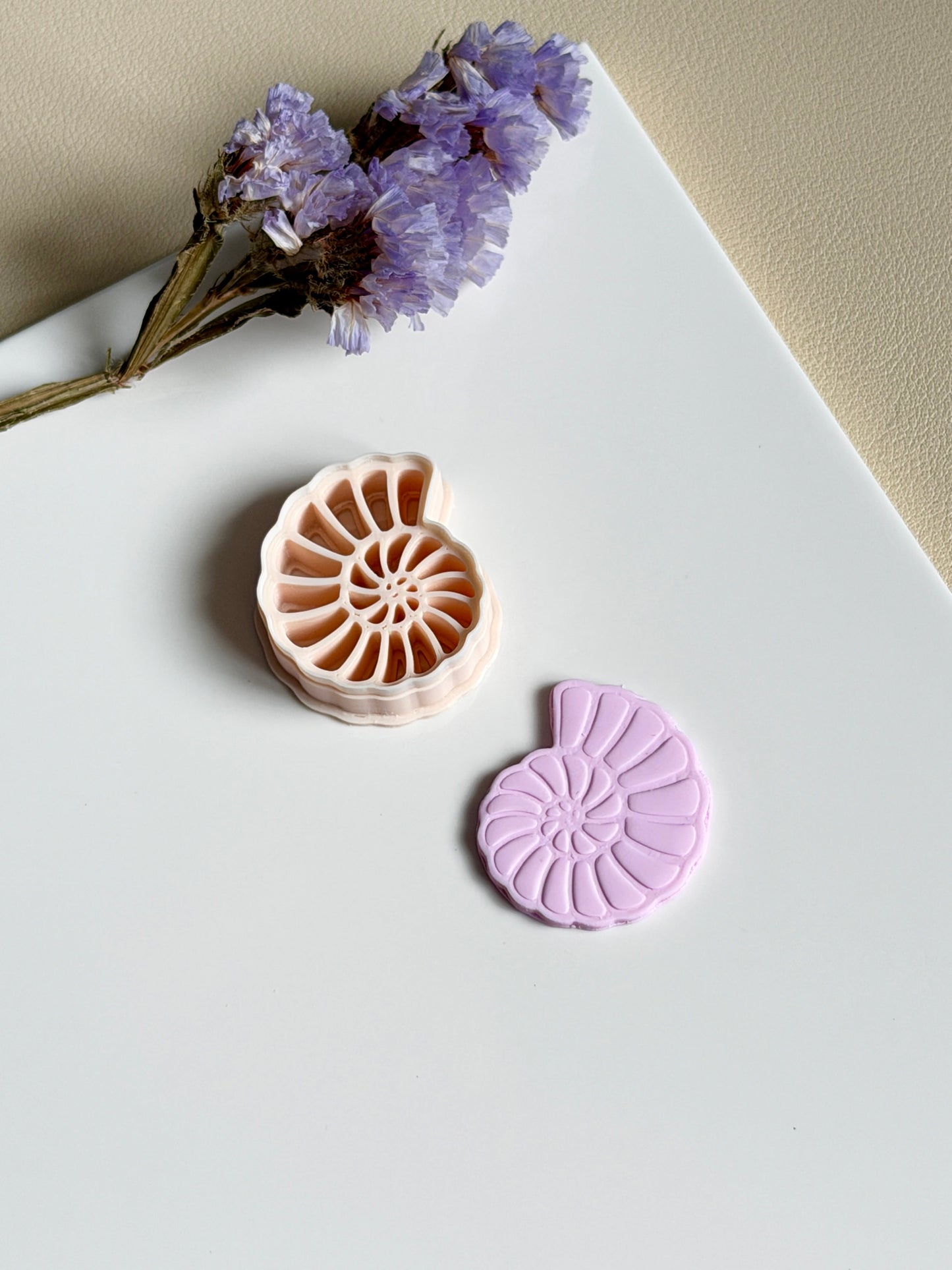 Sea snail | Clay cutter