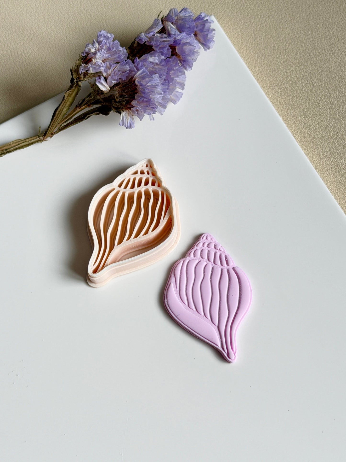 Sea shell | Clay cutter