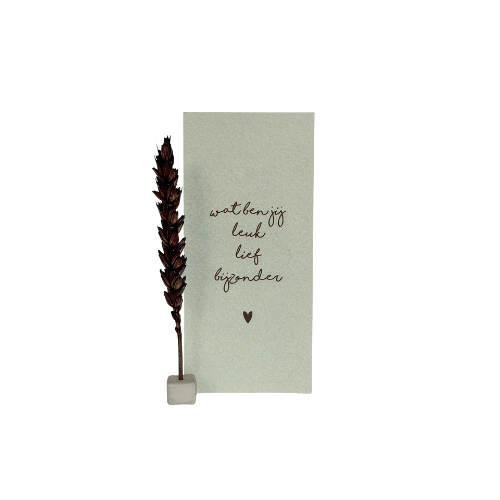 Wenskaart 'Wat ben jij leuk' | Droogbloem, pastel groen